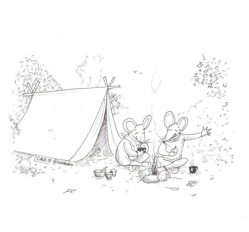 Portfolio jeunesse