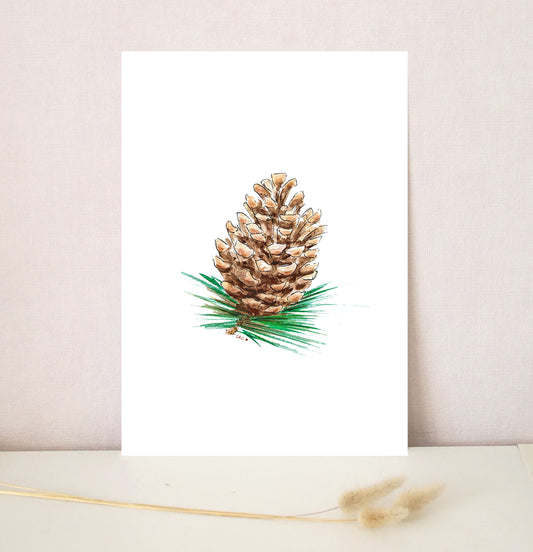 Pigne de pin