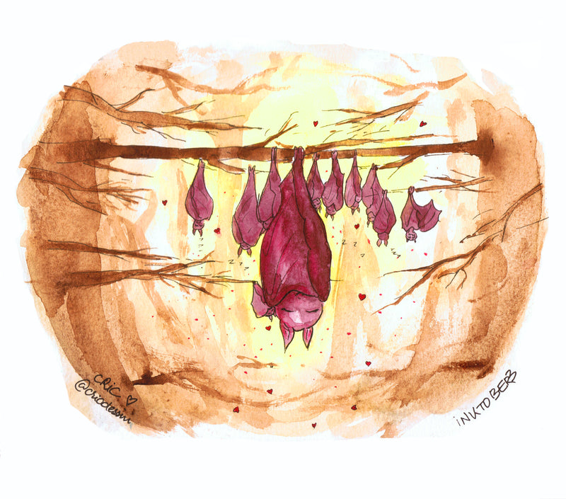 Portfolio jeunesse