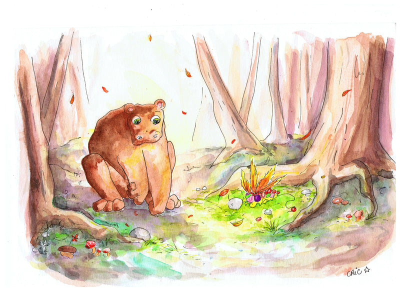 Portfolio jeunesse